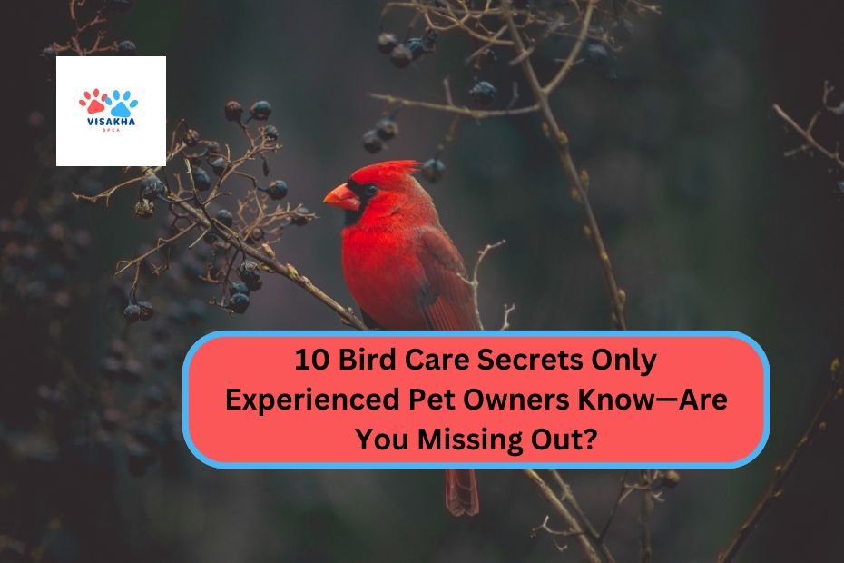 10 Bird Care Secrets Only Experienced Pet Owners Know—Are You Missing Out?