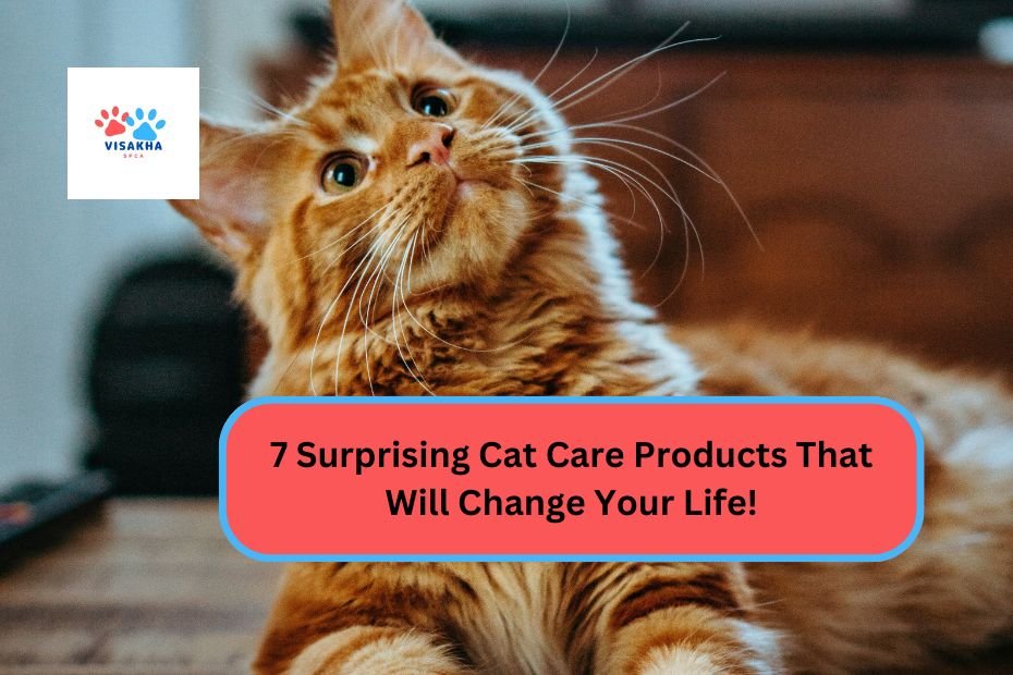 7 Surprising Cat Care Products That Will Change Your Life!