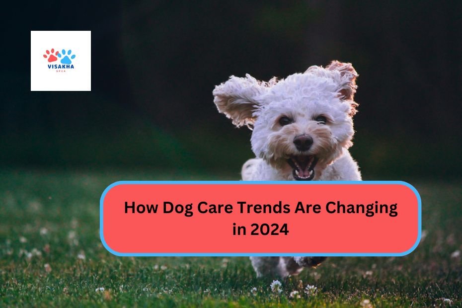 How Dog Care Trends Are Changing in 2024