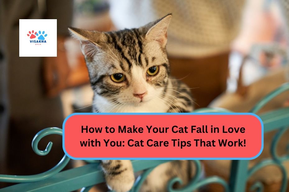 How to Make Your Cat Fall in Love with You: Cat Care Tips That Work!