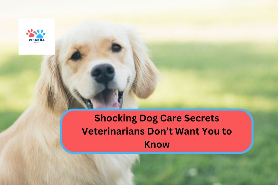 Shocking Dog Care Secrets Veterinarians Don’t Want You to Know