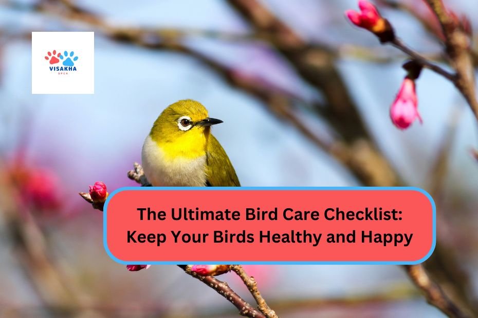 The Ultimate Bird Care Checklist: Keep Your Birds Healthy and Happy