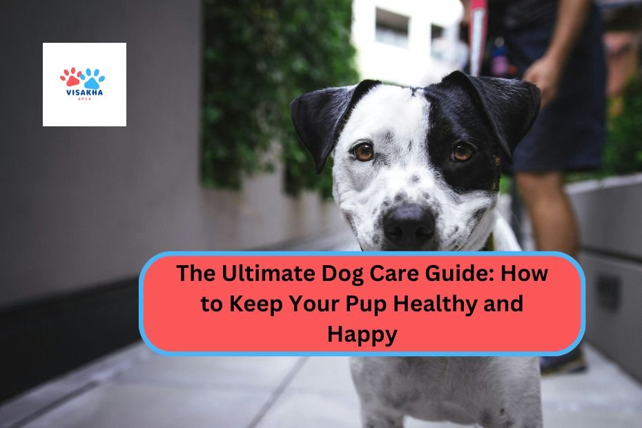 The Ultimate Dog Care Guide: How to Keep Your Pup Healthy and Happy